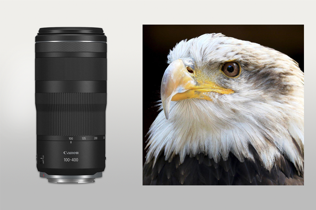 canon rf100-400mm is usm lens example