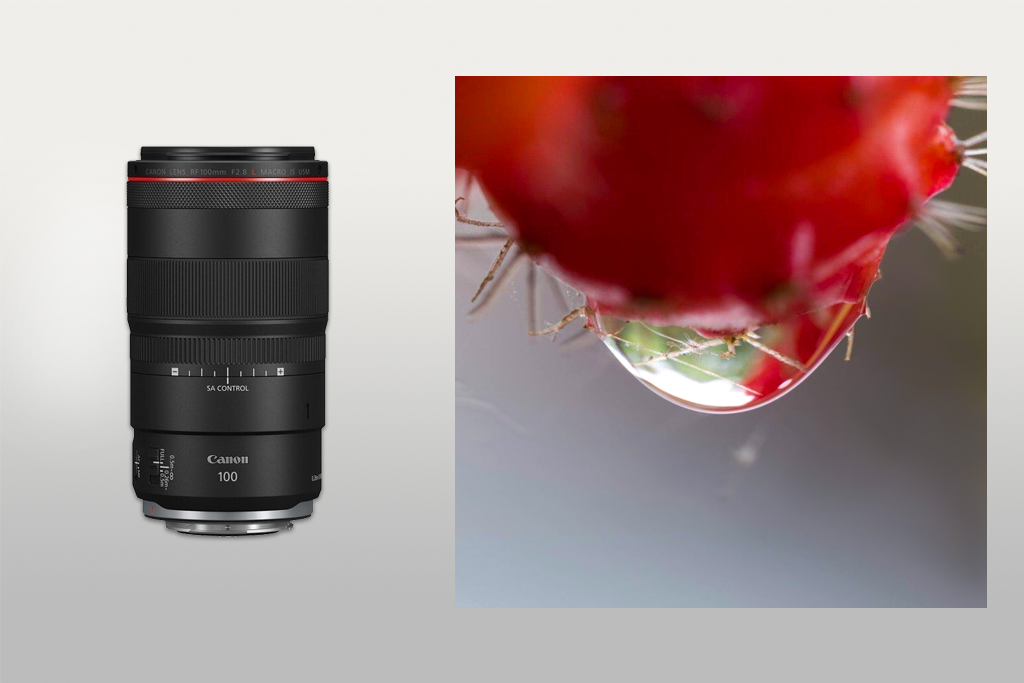 canon rf 100 f2.8l macro lens for canon