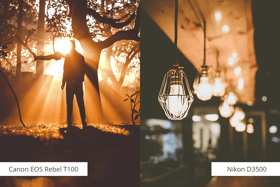 canon vs nikon dslr comparison