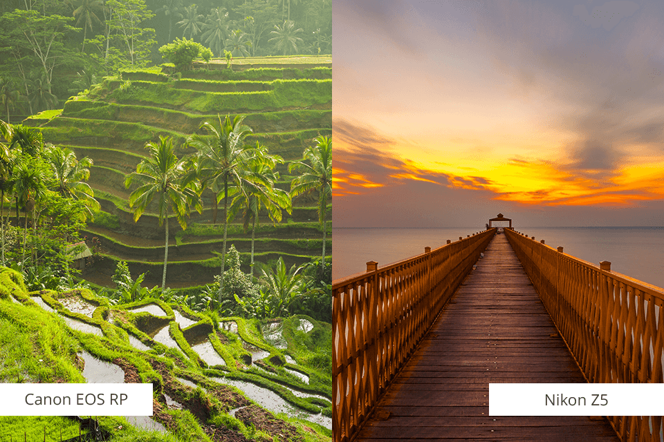 canon vs nikon full frame mirrorless for beginners comparison