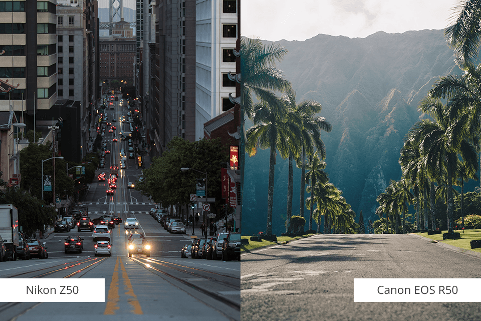 canon vs nikon mirrorless for beginners comparison
