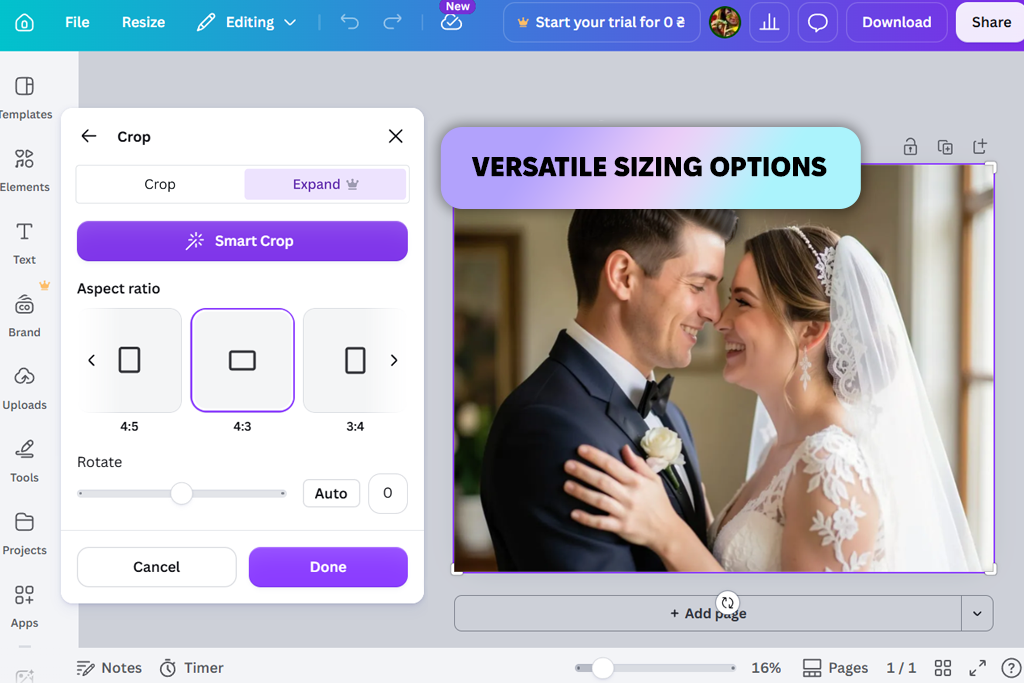 canva interface