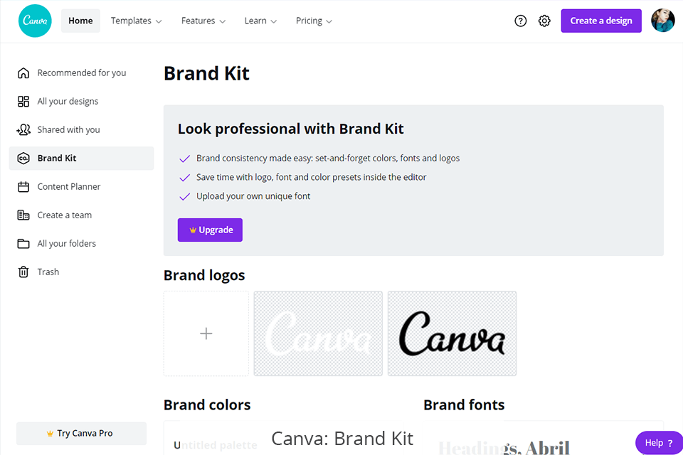 canva brand kit