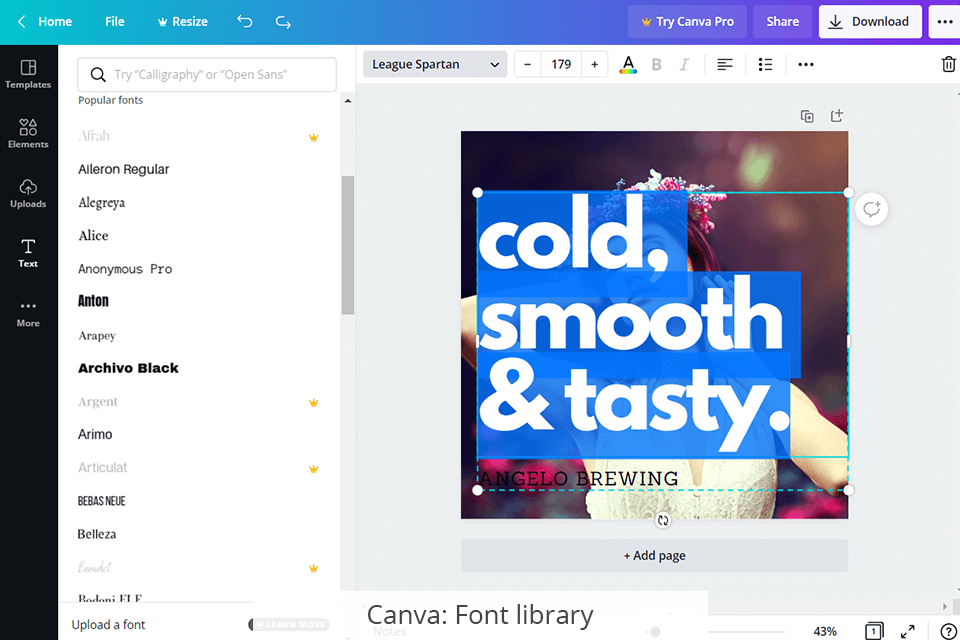 canva fonts