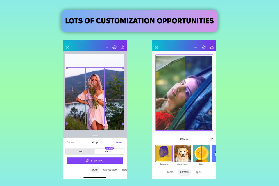 canva instasize alternative interface