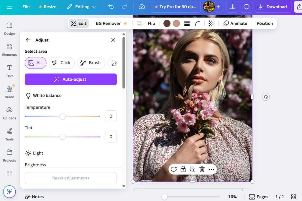 canva photoshop alternative