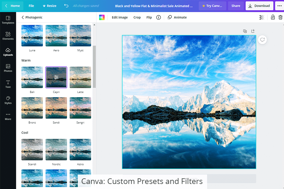 canva presets