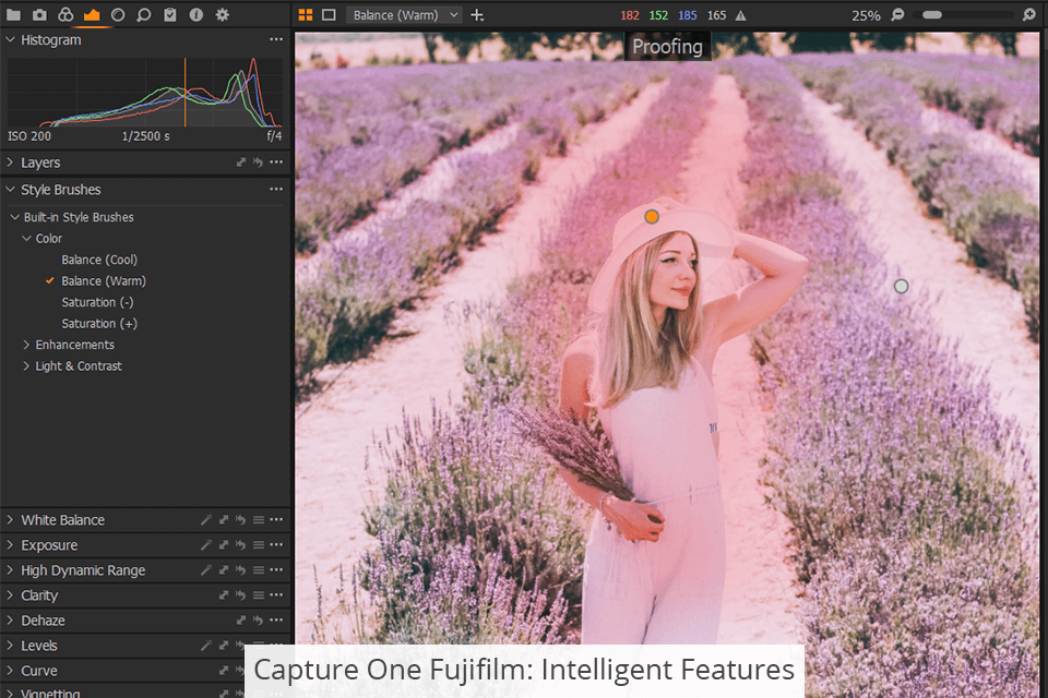 التقاط ميزات فوجي فيلم واحد