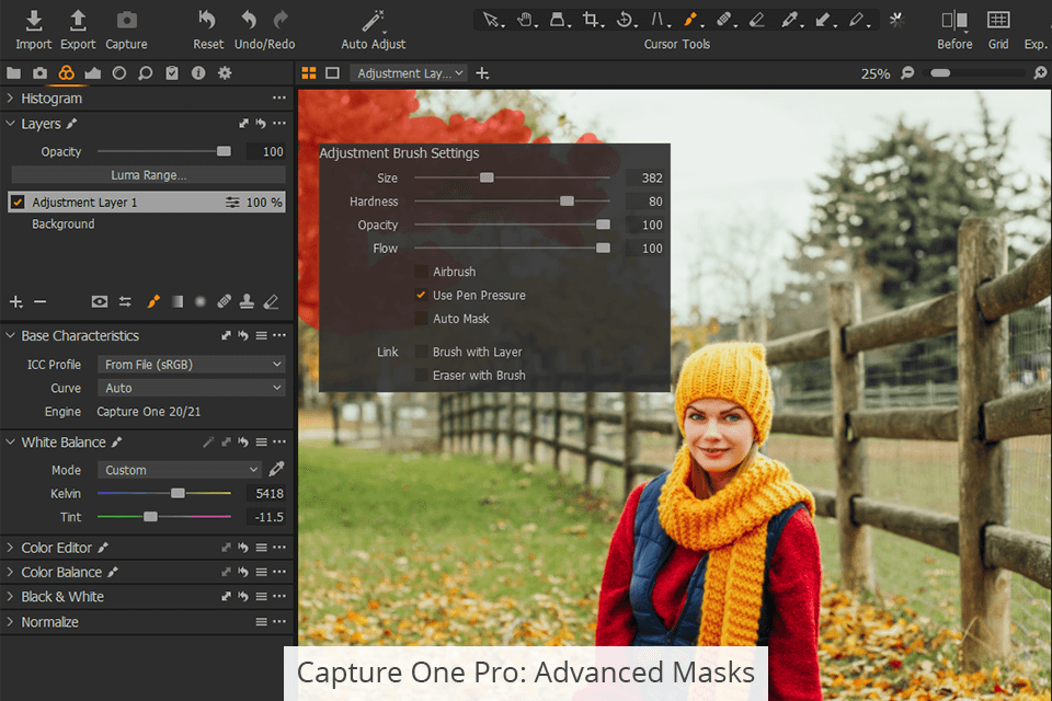 التقاط أقنعة احترافية متقدمة