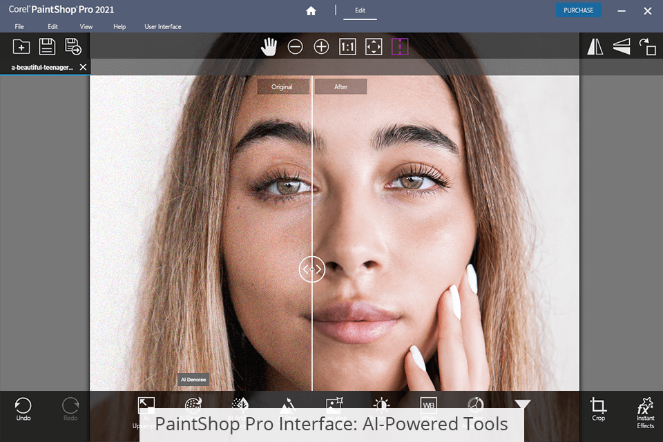 التقاط أدوات pro vs paintshop pro ai