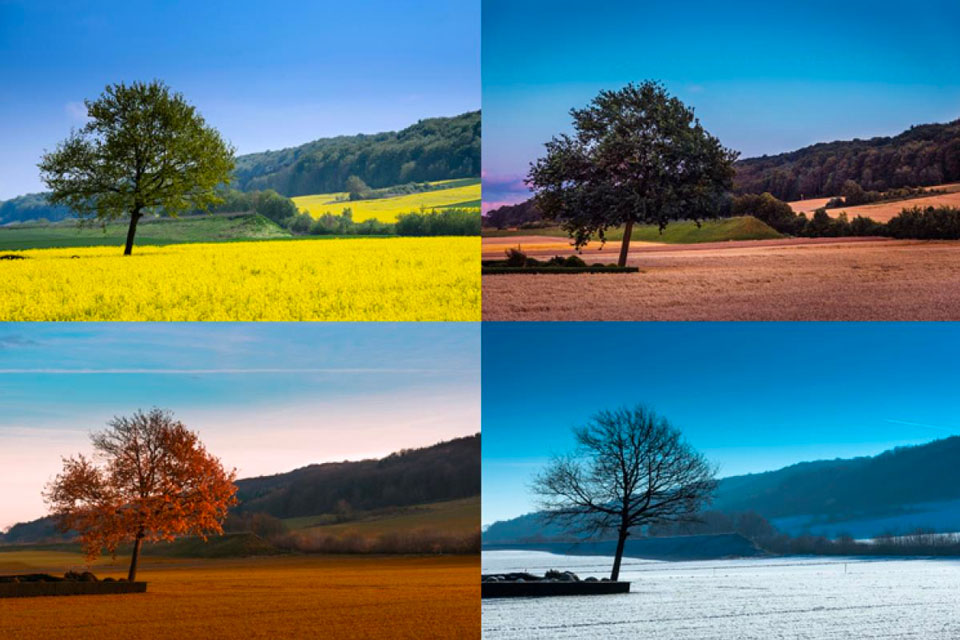 change over time photography challenge ideas