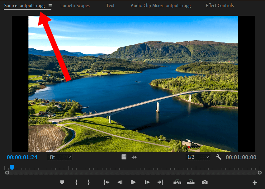 check video file format