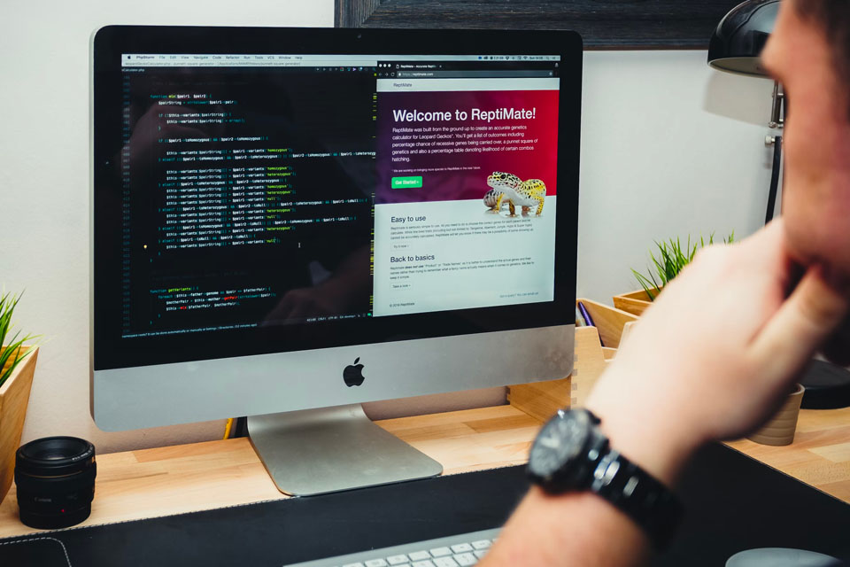 choice omg agency website development