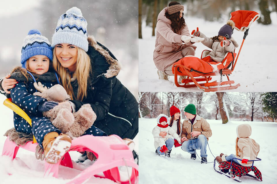 christmas photo ideas sleigh