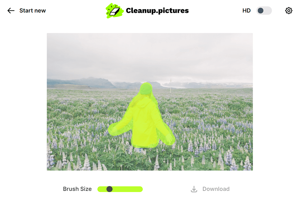 cleanup pictures object removal