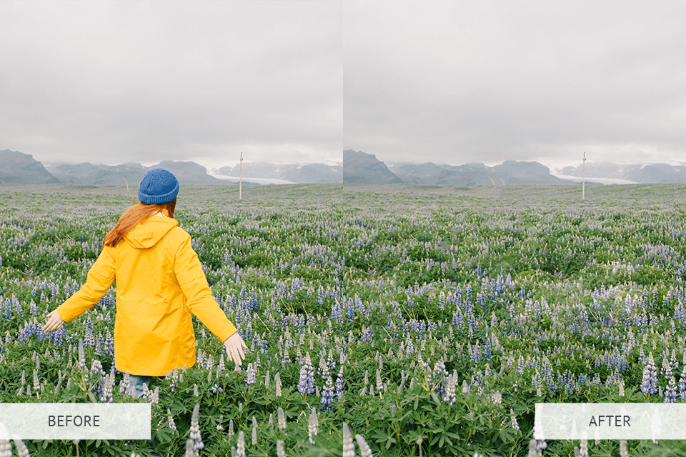 cleanup pictures obecr removal