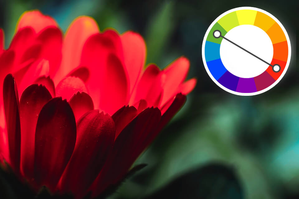 color contrast values