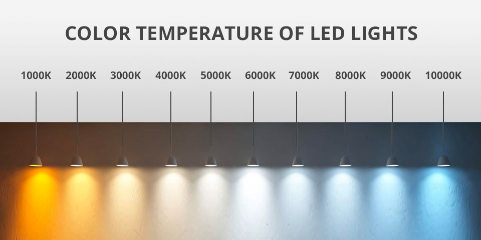 5 Best Video LED Lights in 2024: Based on Real Tests