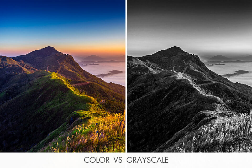 color vs grayscale photo comparison