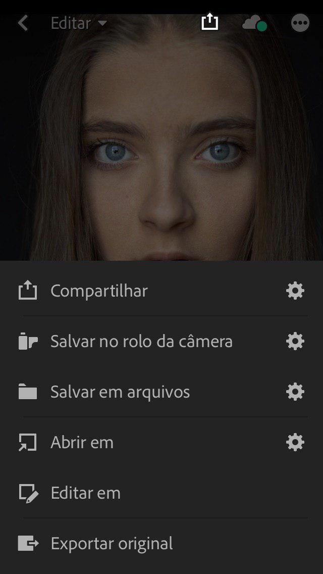 compartilhar fotos versão móvel do lightroom