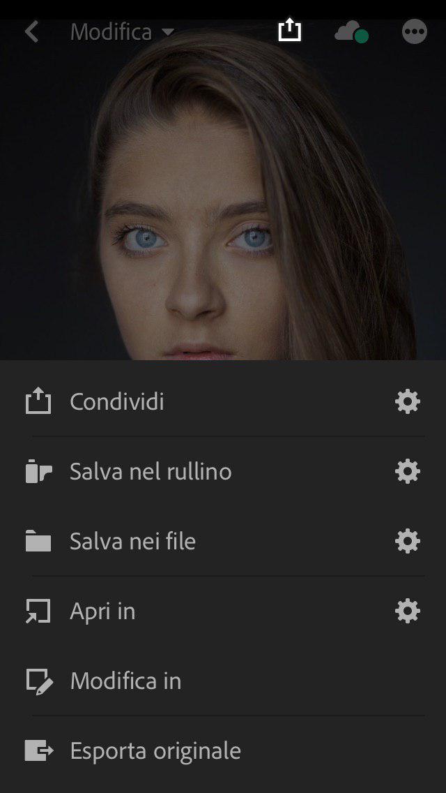 condividi le fotografie mobile ightroom versione