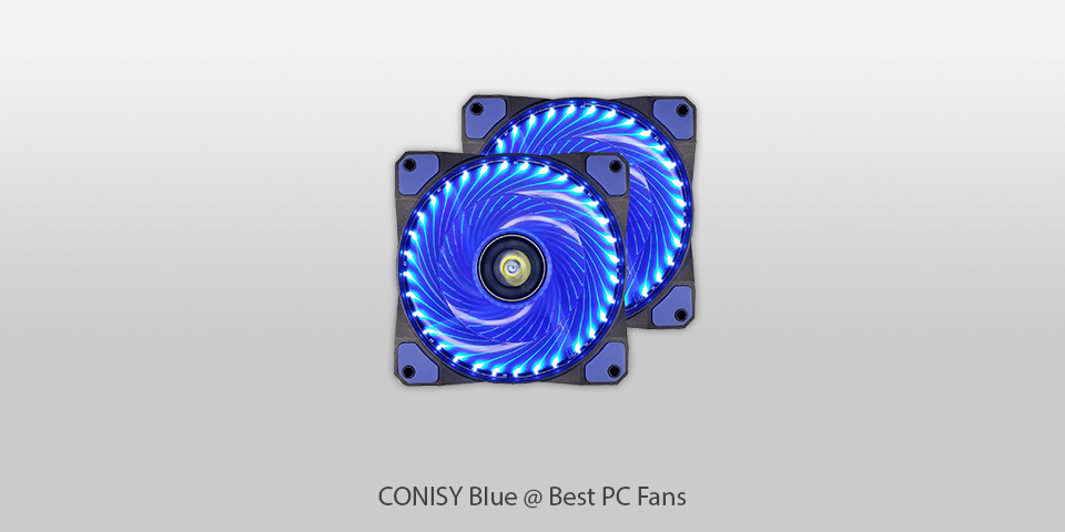 conisy blue fan