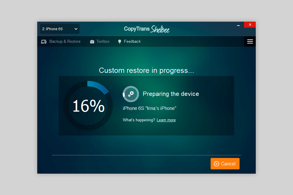 copytrans shelbee custom restore feature