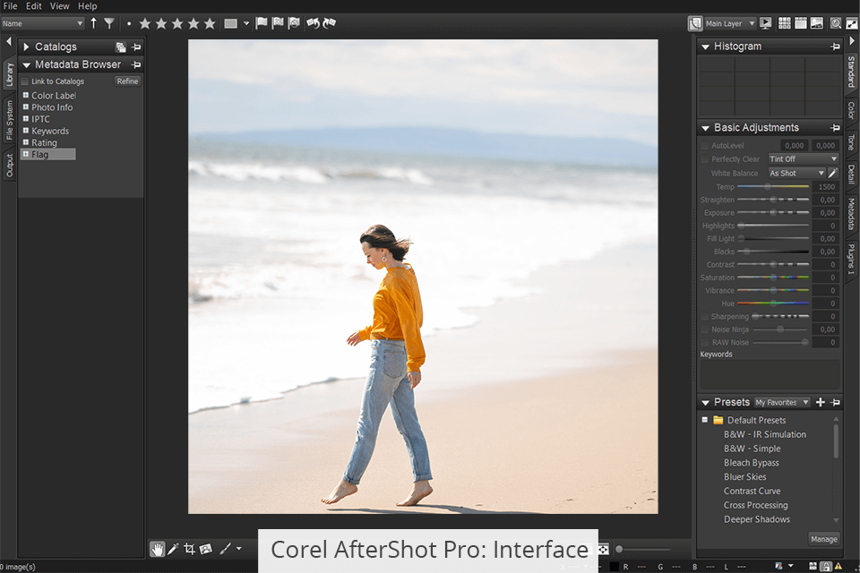 corel aftershot pro interface