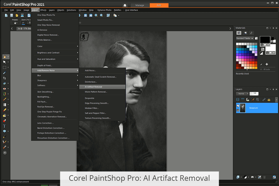 corel painttshop pro ai إزالة القطع الأثرية
