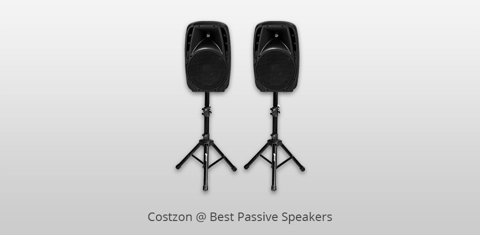 costzon passive speakers