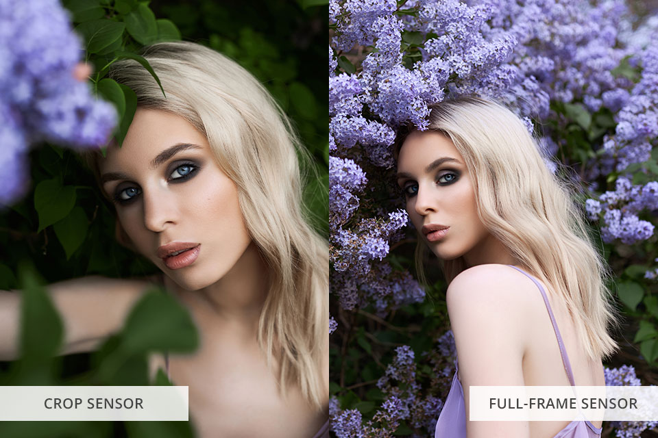 crop sensor vs full frame