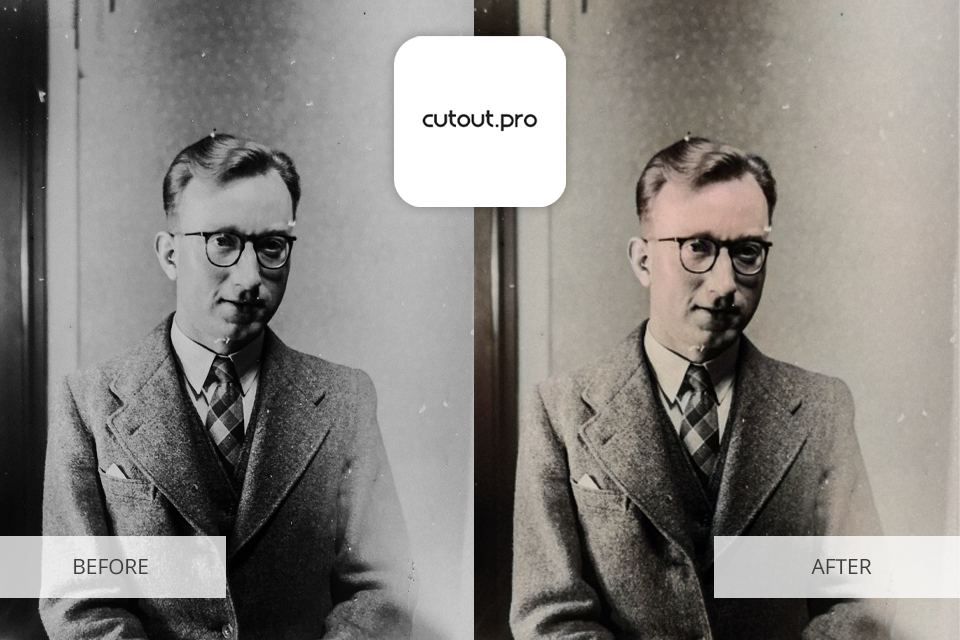 cutout pro colorized software