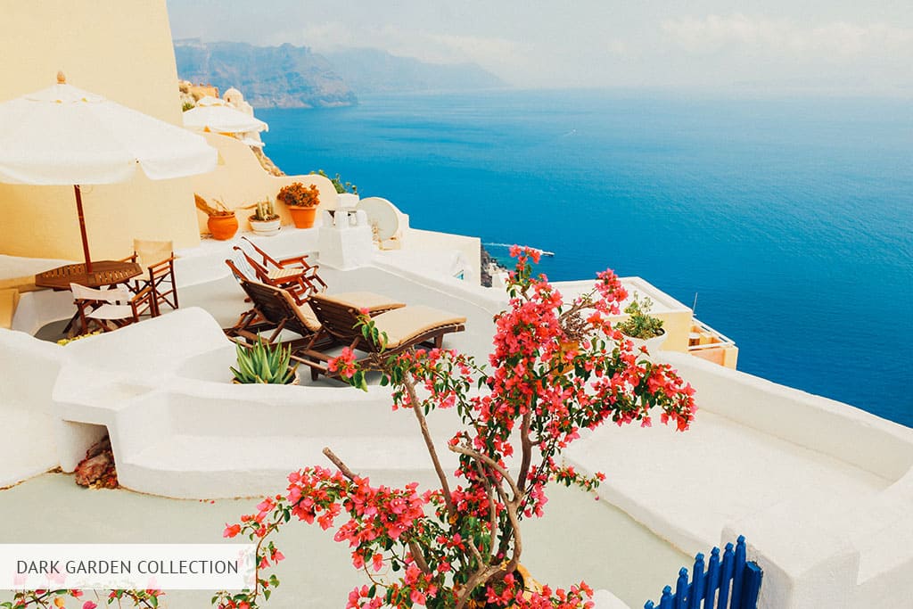 دارك جاردن بلفيو افينيو فوتوشوب اكشن