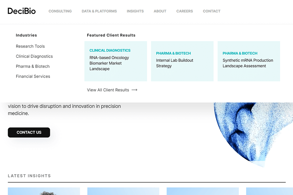 decibio consulting company website