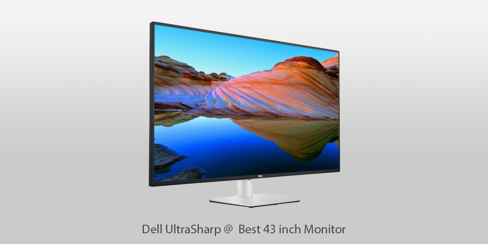 dell ultrasharp 43-inch monitor