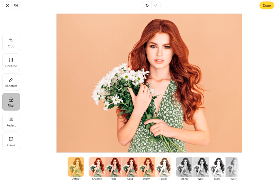 imglarger 전문가 기본 도구의 노이즈 제거기