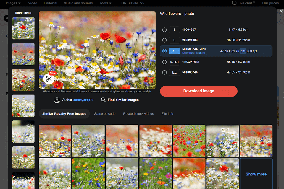 12 Best Places to Sell Photos Online to Make Money
