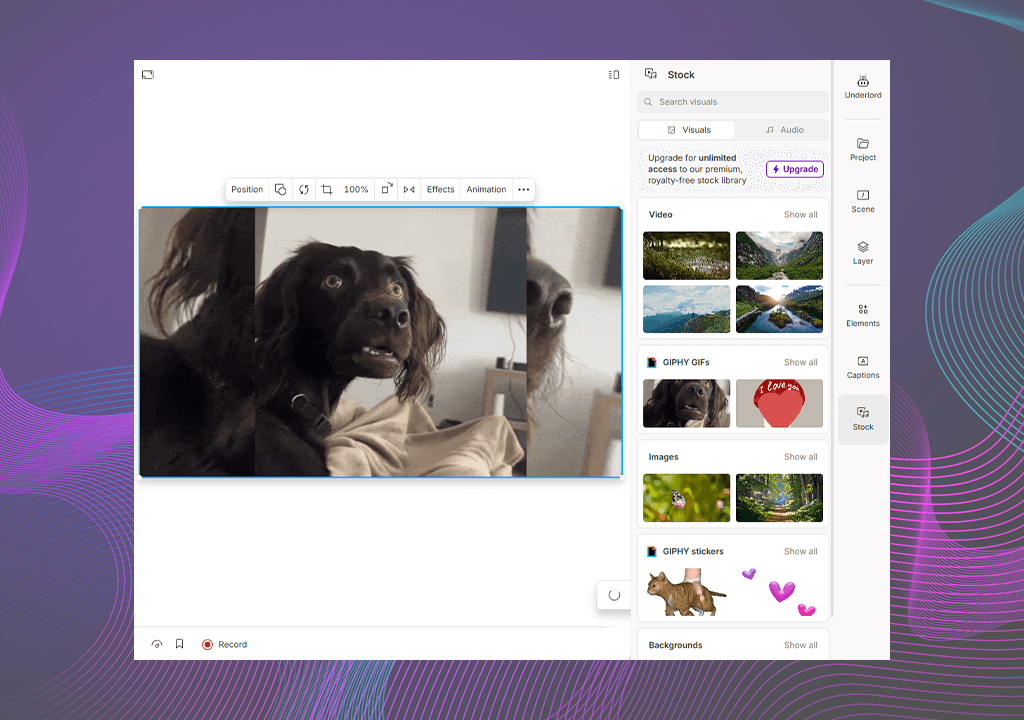 descript stock media