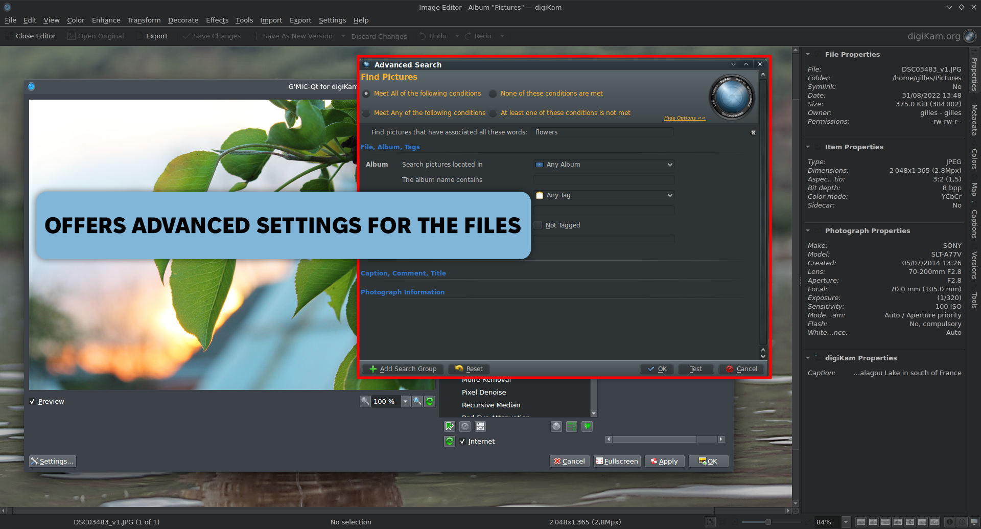 digikam daminion alternative