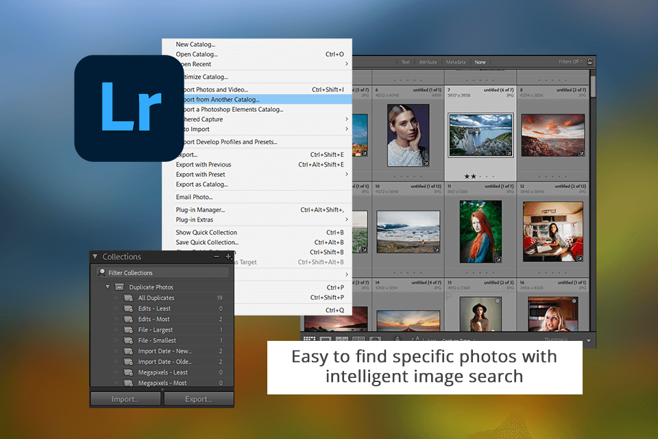 lightroom organizing