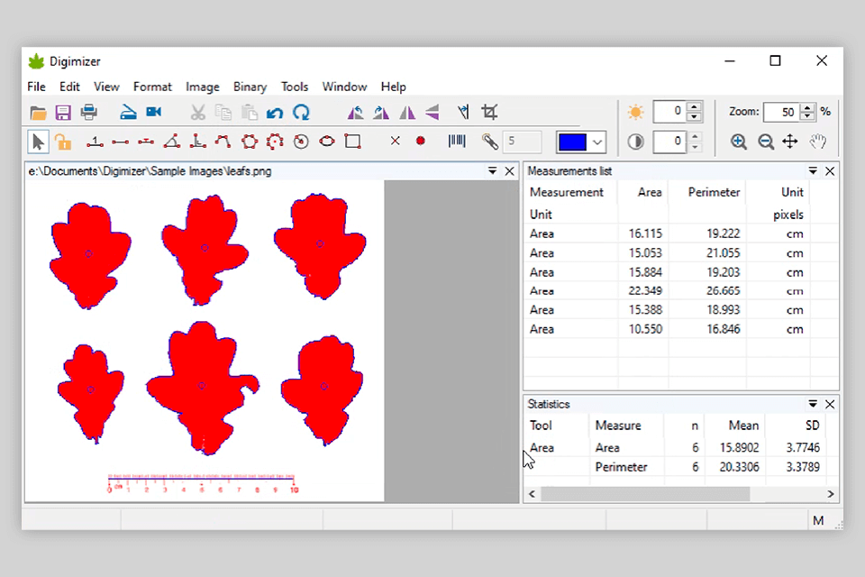 image measurement software