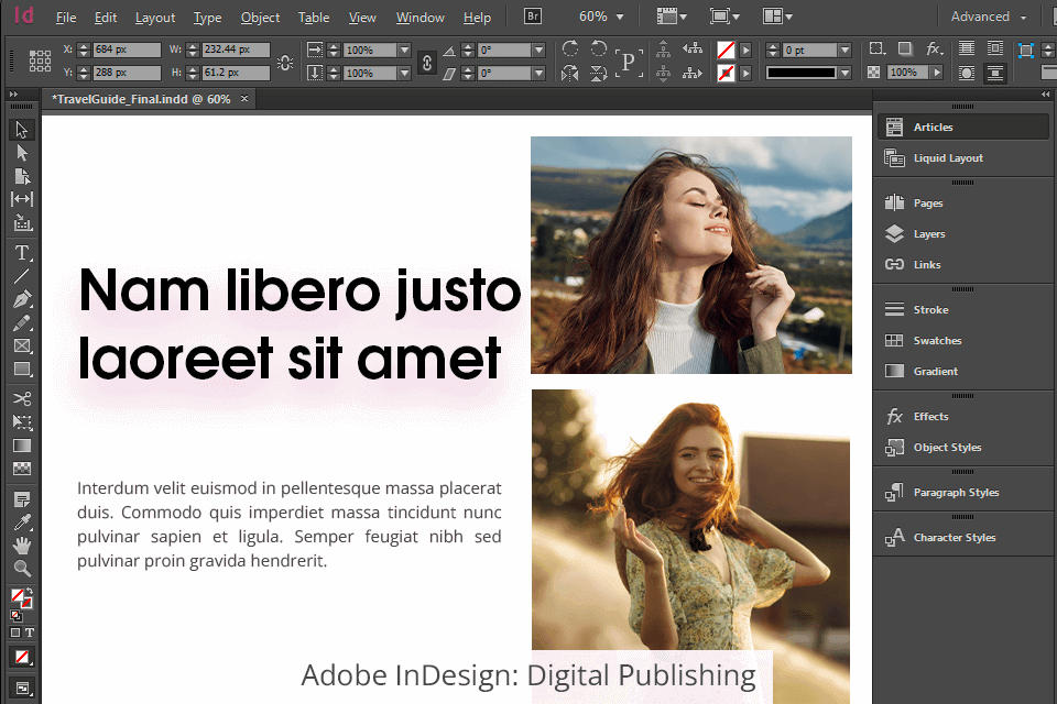 adobe indesign digital publishing