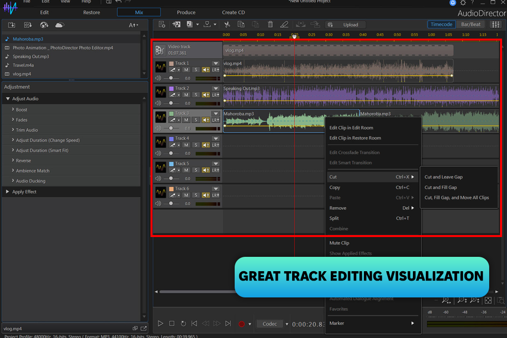 director suite 365 audiodirector