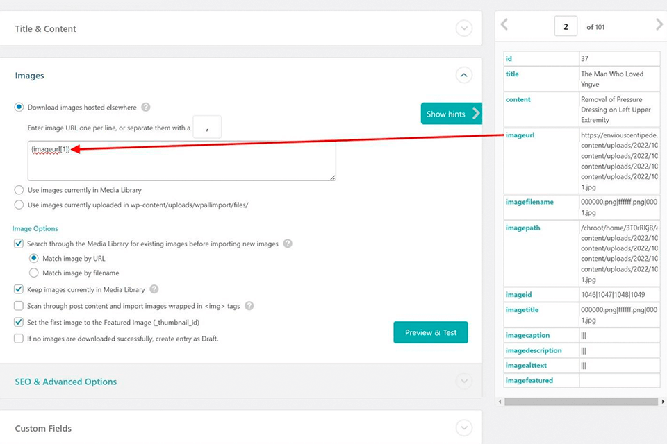 discover the images panel to import images in wordpress