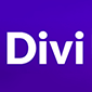 divi wordpress video theme logo