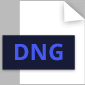 dng logo