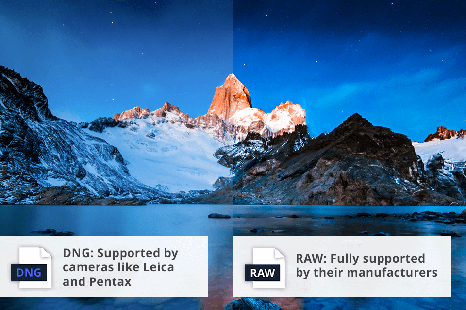 dng vs raw compatibility