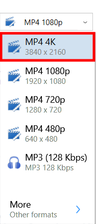 download from flickr video using vdownloader