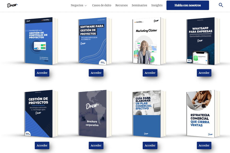 reseña de contenido de drew global business consulting
