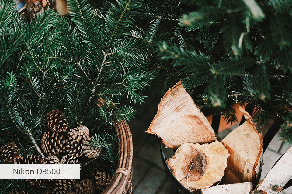 dslr camera with video nikon d3500